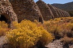 mesquite flat kilns
